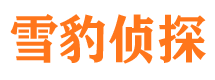 西安市调查公司